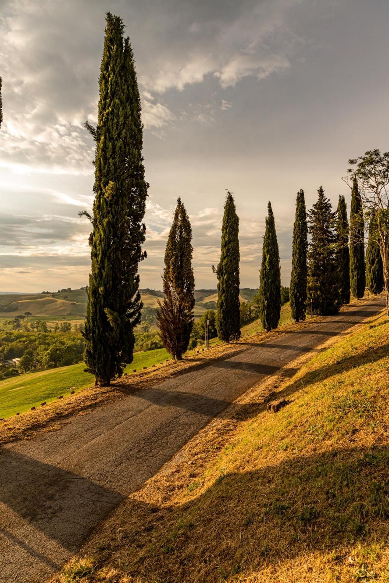 Agriturismo Percenna Buonconvento Buitenkant foto