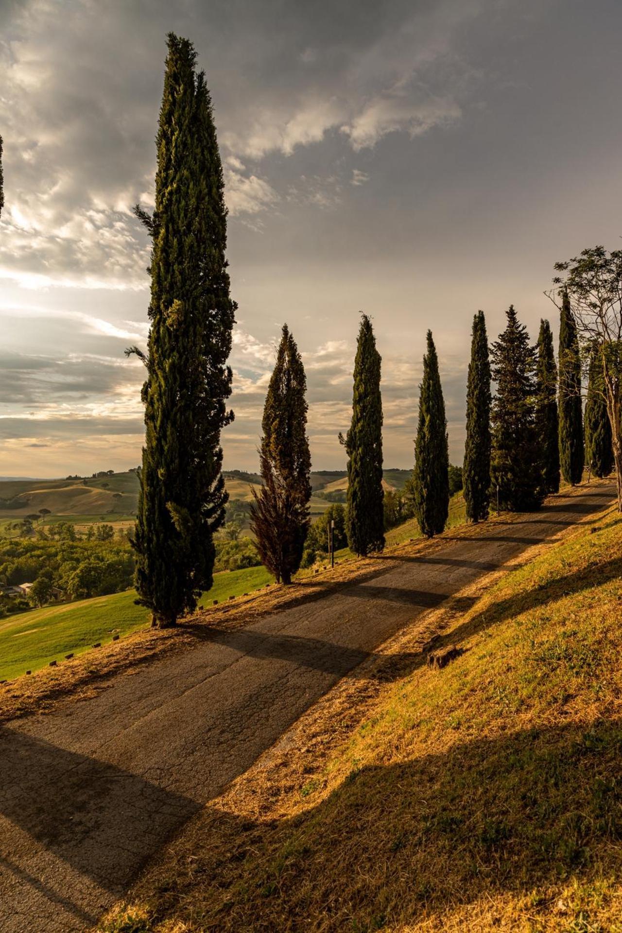 Agriturismo Percenna Buonconvento Buitenkant foto