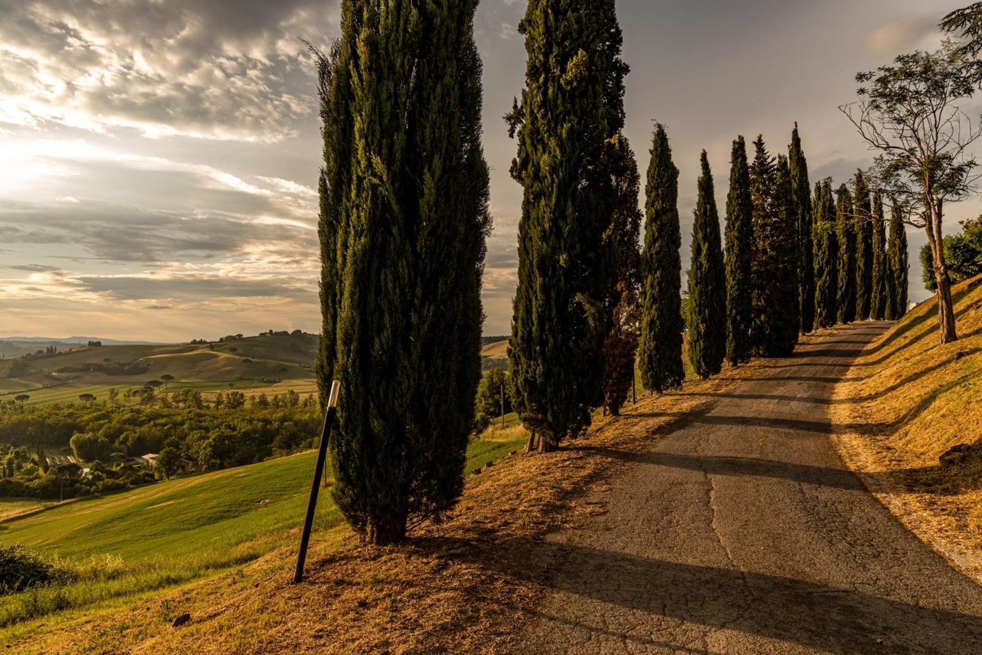 Agriturismo Percenna Buonconvento Buitenkant foto